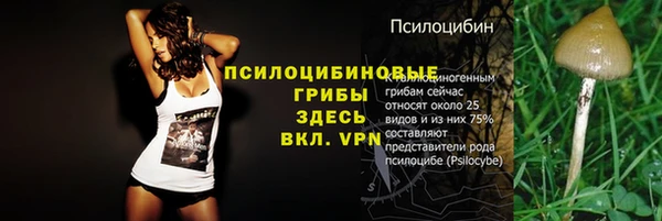 Альфа ПВП Алексин