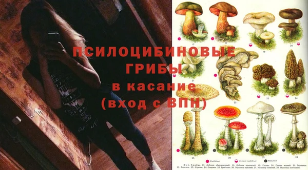 Альфа ПВП Алексин