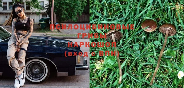 круглые Алзамай