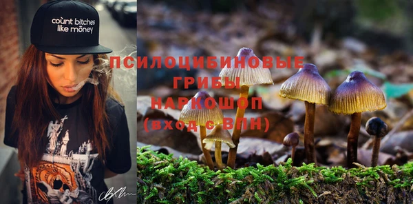 Альфа ПВП Алексин
