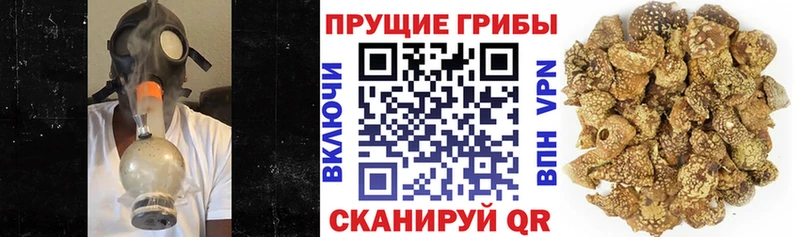 Псилоцибиновые грибы мицелий  Боровичи 