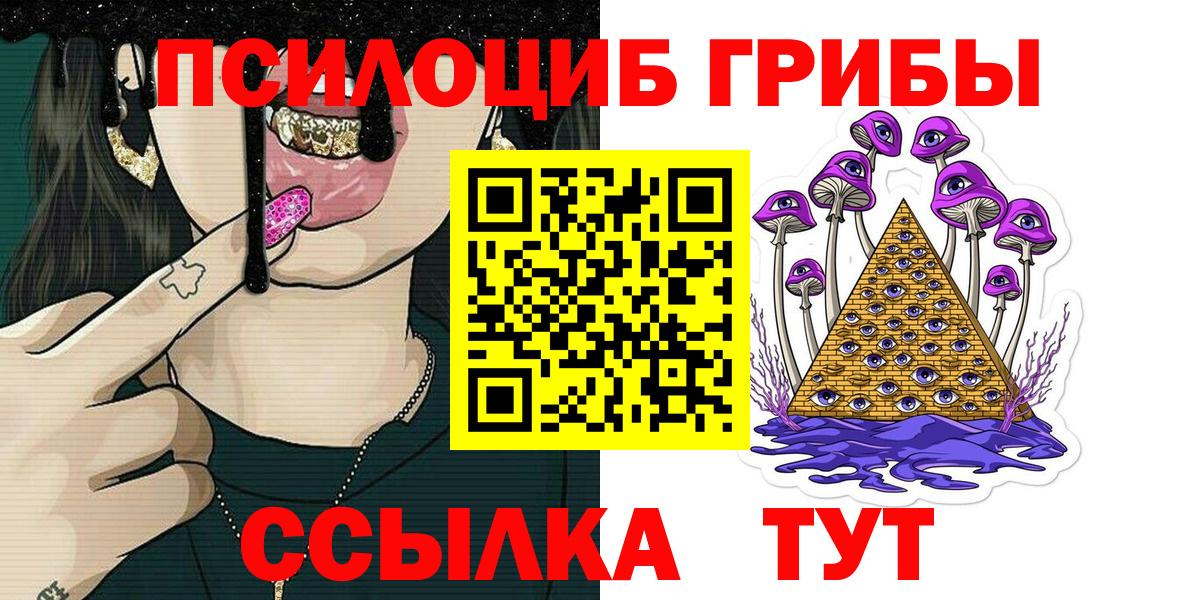 закладка  Вход с VPN  Боровичи  Галлюциногенные грибы Cubensis 