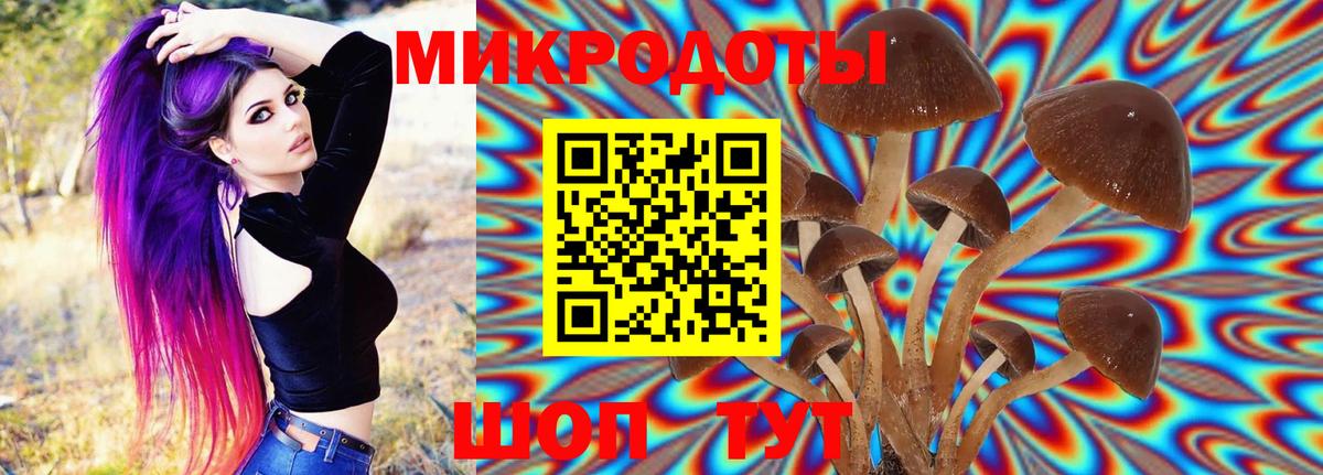 Галлюциногенные грибы мухоморы Боровичи